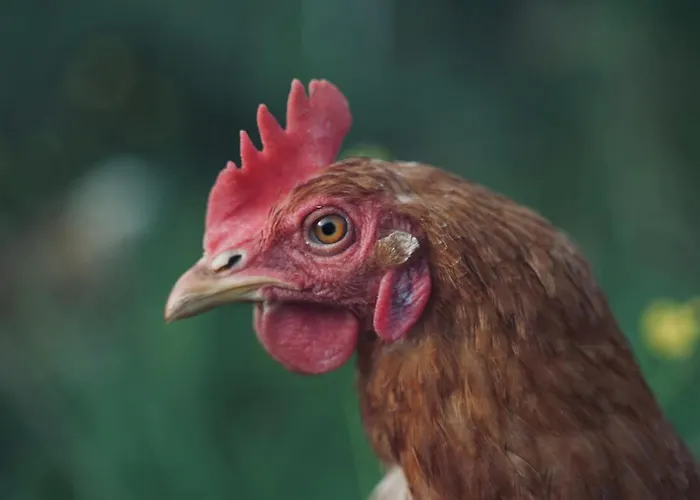 Villa Farm At Lokka Farm