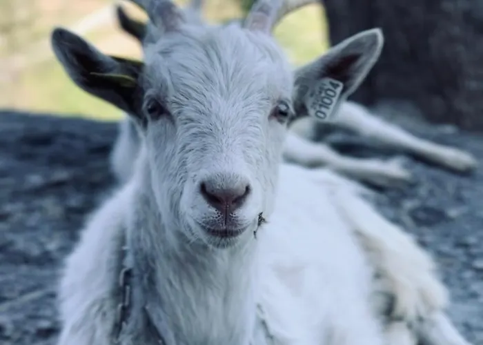 Villa Farm At Lokka Farm