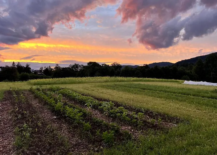 Farm At Lokka Farm 别墅 Baerums Verk