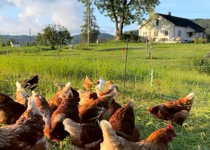 Farm At Lokka Farm * Baerums Verk