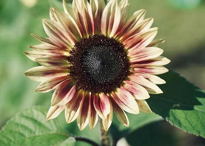 Farm At Lokka Farm * Baerums Verk