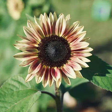 Farm At Lokka Farm * Baerums Verk